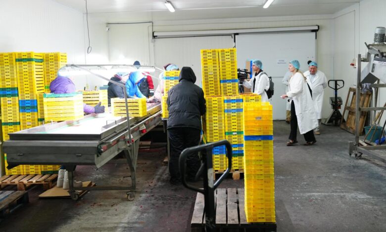 Ягідний кооператив