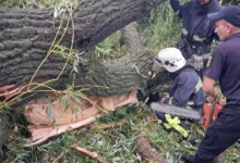 фото з мережі Інтернет